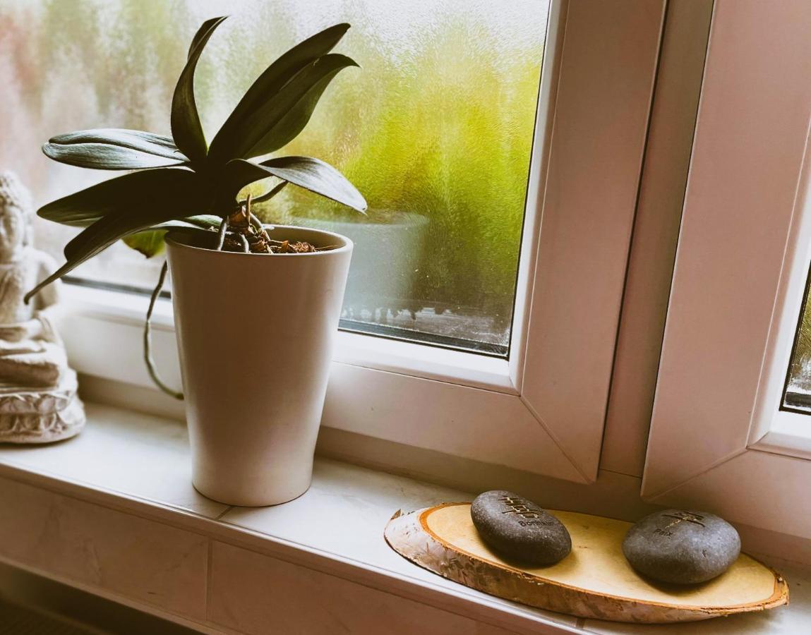 Modernes Appartement Im Gruenen - Stilvoll Und Komfortabel Keulen Buitenkant foto